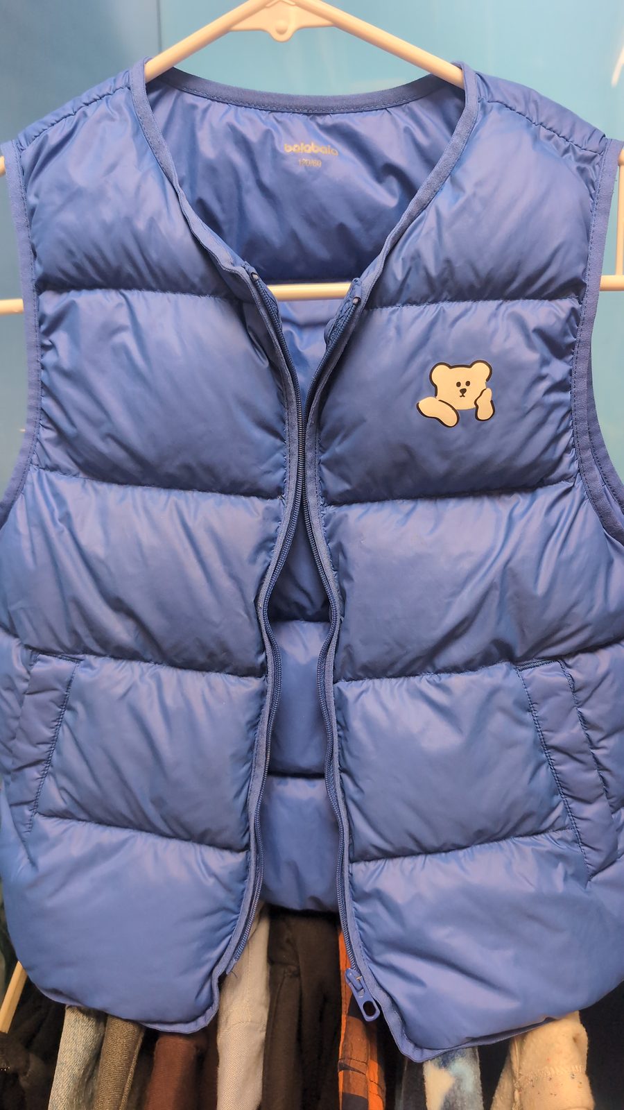 Blue and navy vest with white bear on front